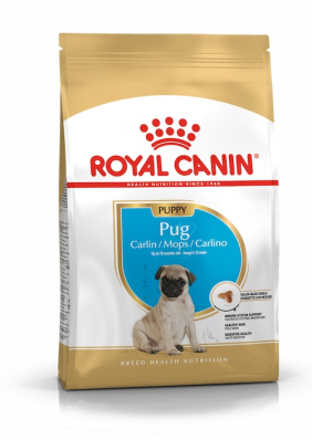 Royal Canin Pug Puppy - сухий корм для цуценят мопса (від 2 до 10 місяців)