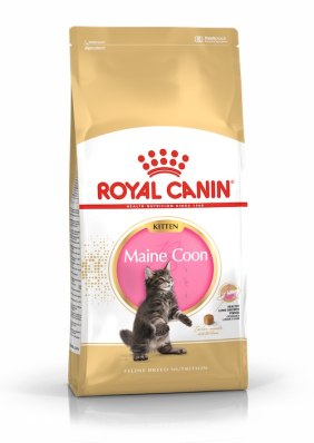 Royal Canin Maine Coon Kitten - сухий корм для кошенят породи мейн-кун (до 15 місяців)