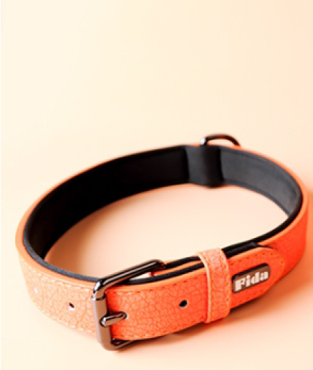 Fida Нашийник для собак, помаранчевий