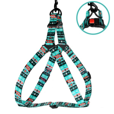 Bronzedog Urban Нейлонова шлея для собак "Інки"