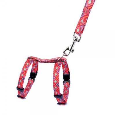 Bronzedog Urban Шлея з повідцем для собак дрібних порід та котів "Гуцульська", червона