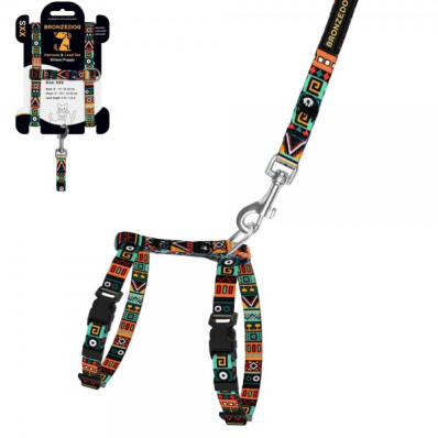 Bronzedog Urban Шлея з повідцем для собак дрібних порід та котів "Етнічна", ментолова