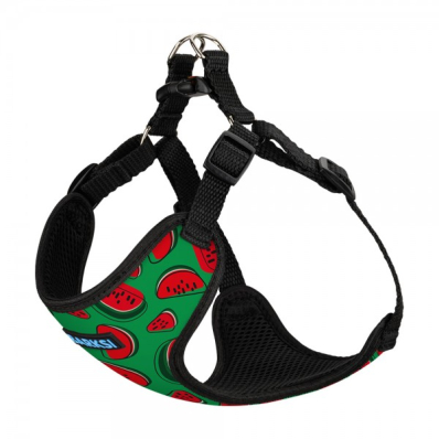 Barksi Sport "Кавун" Шлея для собак