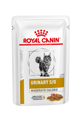 Royal Canin Urinary S/O Feline Moderate - вологий дієтичний корм для дорослих котів із зайвою вагою та захворюваннях нижніх сечовивідних шляхів