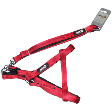 AnimAll Red Набір шлея і повідець