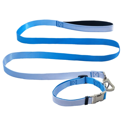 AnimAll Panton 3 Нашийник та повідець для собак