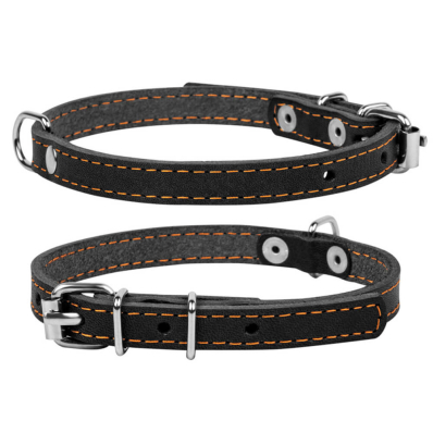 Collar Нашийник для собак одинарний, чорний