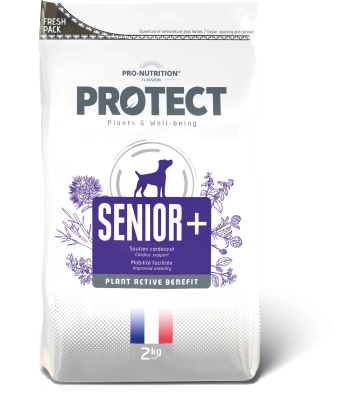 Pro-Nutrition PROTECT CHIEN SENIOR+ Лікувальний корм для собак старшого віку