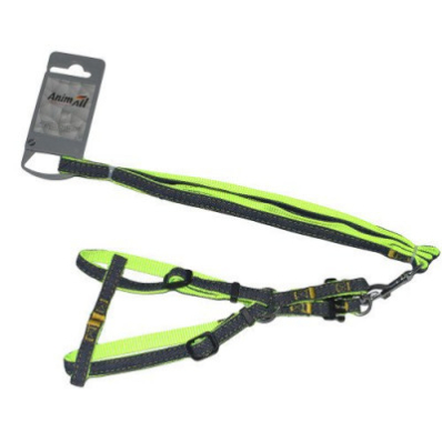 AnimAll Denim Набір шлея та повідець, зелений