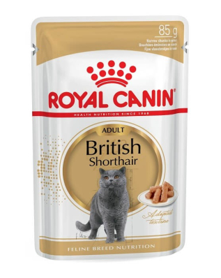 Royal Canin British Shorthair Adult - вологий корм для котів британська короткошерста (від 12 місяців)