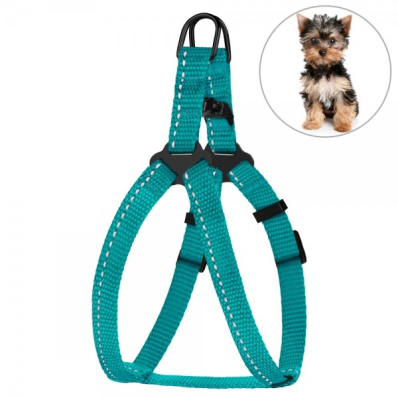 Bronzedog Active Шлея для собак дрібних порід та котів, бірюзова