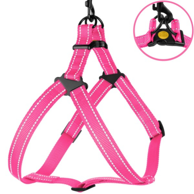 Bronzedog Active Нейлонова шлея для собак, рожева