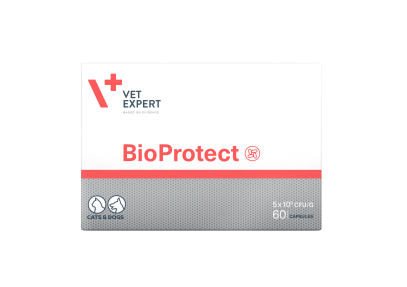 VetExpert BioProtect Нутрицевтична добавка для котів і собак із порушеною шлунково-кишковою мікрофлорою