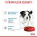 Royal Canin Mini Puppy - вологий корм для цуценят дрібних порід (до 10 місяців), фото 4