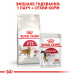 Royal Canin Fit 32 - сухий корм для котів у хорошій фізичній формі (від 12 місяців до 10 років), фото 6