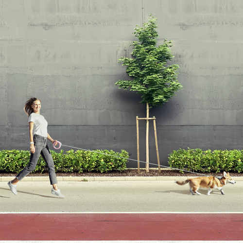 Collar WAUDOG Повідець-рулетка кругла для собак вагою до 40 кг, рожевий, фото 4