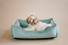 Harley and Cho Dreamer Velur Tiffany Лежак для собак і котів, фото 4
