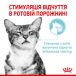Royal Canin Sensory Feel в соусі для котів, фото 3