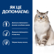 Hill’s PD Feline J/D Сухий корм-дієта з куркою для котів із захворюваннями суглобів, фото 5