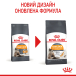 Royal Canin Hair and Skin Care - сухий корм для котів, підтримка здоров'я шкіри і блиску шерсті (від 12 місяців до 7 років), фото 5