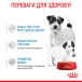 Royal Canin Starter Mousse Mother & Babydog - консерви для для цуценят (до 2 місяців) і для сук, фото 3
