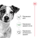 Royal Canin Mini Adult - вологий корм для дорослих собак дрібних порід (від 10 місяців до 12 років), фото 3