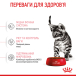 Royal Canin Kitten Sterilised - сухий корм для стерилізованих кошенят (від 6 до 12 місяців), фото 9