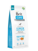Brit Care Dog Grain-free Junior Large Breed Сухий беззерновий корм з лососем для молодих собак великих порід, фото 3