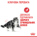 Royal Canin Urinary Care - сухий корм для котів, підтримка здоров'я сечовидільної системи (від 12 місяців до 12 років), фото 10