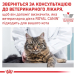 Royal Canin Gastrointestinal Feline Pouches - вологий дієтичний корм для дорослих котів при розладах травлення, фото 6