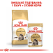 Royal Canin Maine Coon Adult Pouches- вологий корм для дорослих котів породи мейн-кун (від 15 місяців), фото 6