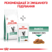 Royal Canin Diabetic Feline - сухий корм для котів при цукровому діабеті, фото 8