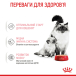 Royal Canin Mother & Babycat wet in mousse - консерви для годуючих і вагітних кішок, кошенят (до 4 місяців), фото 2