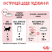 Royal Canin Kitten Gravy - вологий корм для кошенят в соусі (до 12 місяців), фото 7