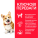 Hill's SP Canine Adult Small & Mini Chicken Сухий корм для дорослих собак малих і мініатюрних порід, з куркою, фото 3
