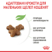Royal Canin Kitten - сухий корм для кошенят (до 12 місяців), фото 13