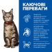 Hill's SP Feline Adult Turkey Вологий корм для дорослих котів, з індичкою, фото 2