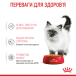 Royal Canin Kitten Jelly - вологий корм для кошенят в желе (до 12 місяців), фото 9