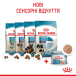 Royal Canin Starter Mousse Mother & Babydog - консерви для для цуценят (до 2 місяців) і для сук, фото 7
