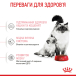 Royal Canin Mother & Babycat - сухий корм для кішок у період вагітності та лактації, а також для кошенят (до 4 місяців), фото 12