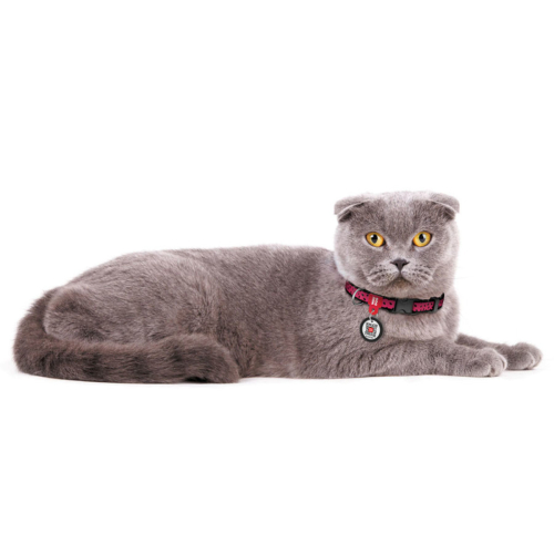 Collar WAUDOG Nylon «Кавун» Нашийник для собак нейлоновий з QR паспортом, пластиковий фастекс, фото 3