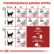 Royal Canin Fit 32 - сухий корм для котів у хорошій фізичній формі (від 12 місяців до 10 років), фото 7