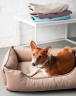 Harley and Cho Dreamer Velur Biege Лежак для собак і котів, фото 6