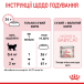 Royal Canin Mother & Babycat - сухий корм для кішок у період вагітності та лактації, а також для кошенят (до 4 місяців), фото 16