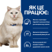 Hill’s PD Feline C/D Urinary Stress Лікувальний сухий корм з куркою для дорослих котів схильних до стресу та проблем зі сечовивідними шляхами, фото 6