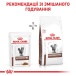 Royal Canin Gastrointestinal Feline Pouches - вологий дієтичний корм для дорослих котів при розладах травлення, фото 5