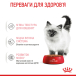 Royal Canin Kitten Gravy - вологий корм для кошенят в соусі (до 12 місяців), фото 4
