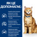 Hill's PD Feline C/D Chicken Вологий корм для котів, догляд за сечовидільною системою, з куркою, фото 2
