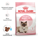 Royal Canin Mother & Babycat - сухий корм для кішок у період вагітності та лактації, а також для кошенят (до 4 місяців), фото 10