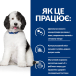 Hill's PD Canine C/D Urinary Care Лікувальний сухий корм із куркою для дорослих собак із проблемами сечовидільної системи, фото 6